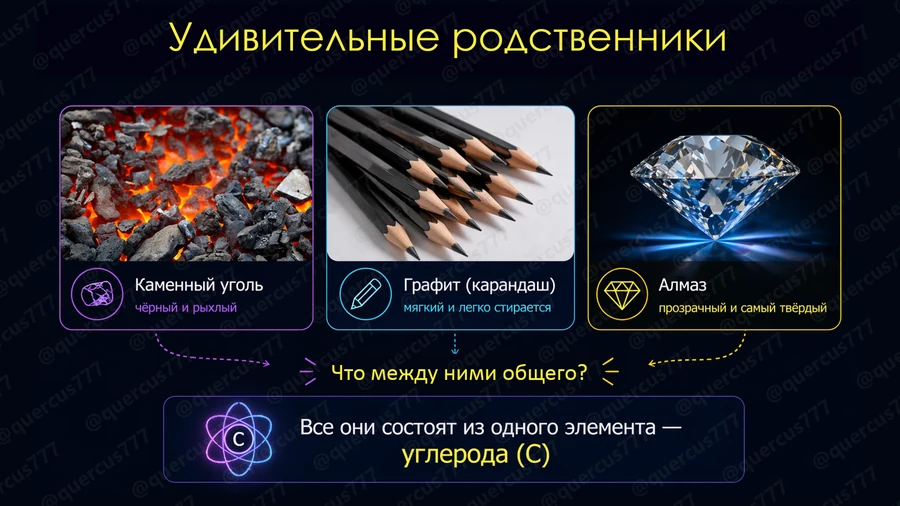 Слайд 07: Удивительные родственники